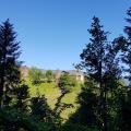 Ruine Hohenrätien