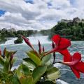 Schaffhausen - Rheinfall