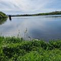 Mosvatnet