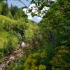 Poschiavo-San Romerio-Miralago