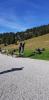 Col les chaux