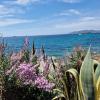 Ibiza