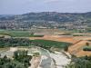Barbaresco