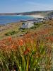 Sennen Cove