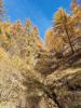 Scuol - Lavin