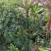 Botanischer Garten