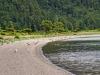 Sandstrand mit lärmigen Möwen