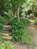 Treppe oder Weg?