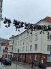 Flensburg