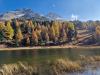 Lej dal Chöds (Hahnensee)