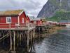 Reine bei Ebbe