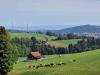 Bodensee im Hintergrund